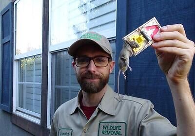 Las Vegas pest control